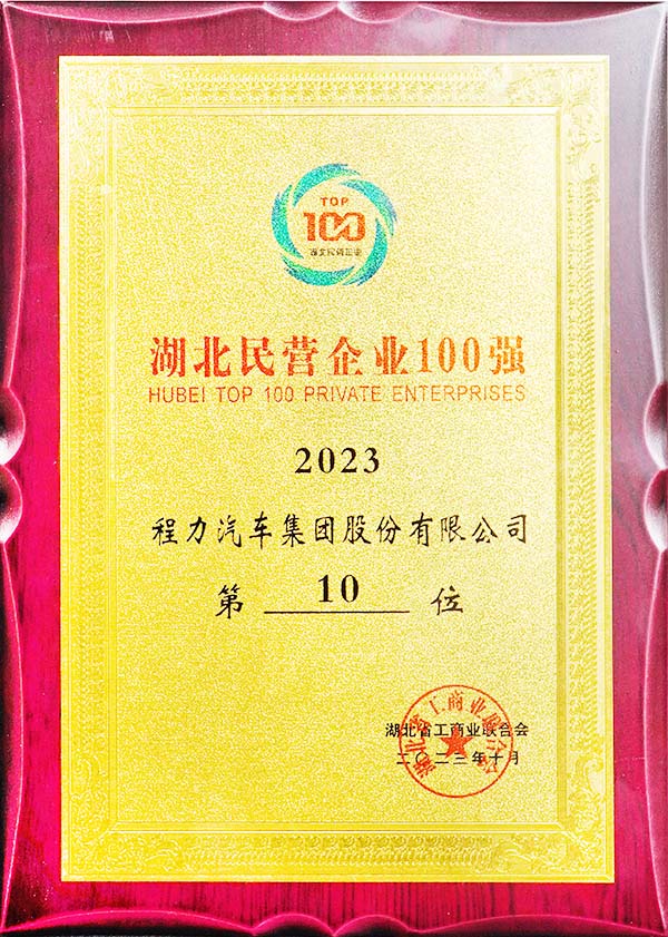 程力湖北省民營企業(yè)100強獎牌